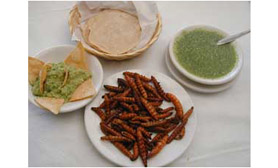 chinicuiles hidalgo mexico