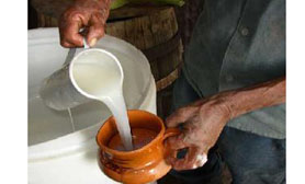 pulque Hidalgo